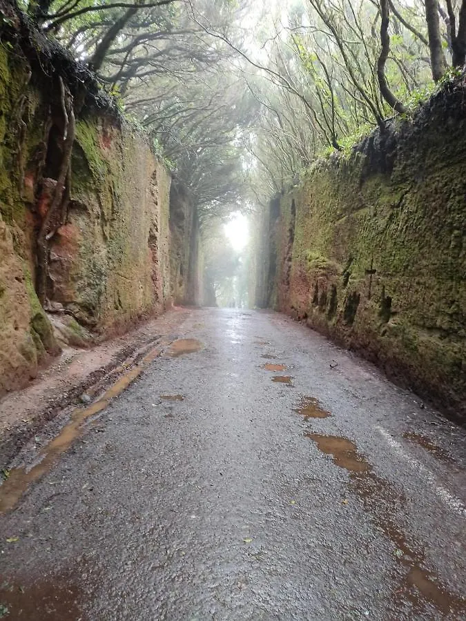 Anaga Y La Laguna A Tus Pies Santa Cruz de Tenerife Appartamento